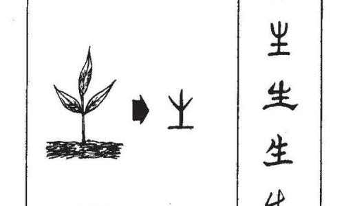 权威银耳梨子百合平台,分享专业银耳百合梨汤怎么做能润肺止咳知识_银耳加百合加梨炖有什么功效网